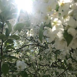 Meet your Posher, Samiya